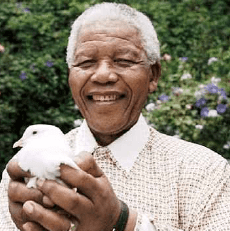 mandela