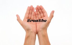 Breathe to body intelligence