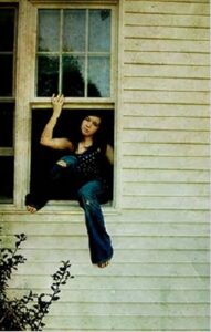 window shadow consulting