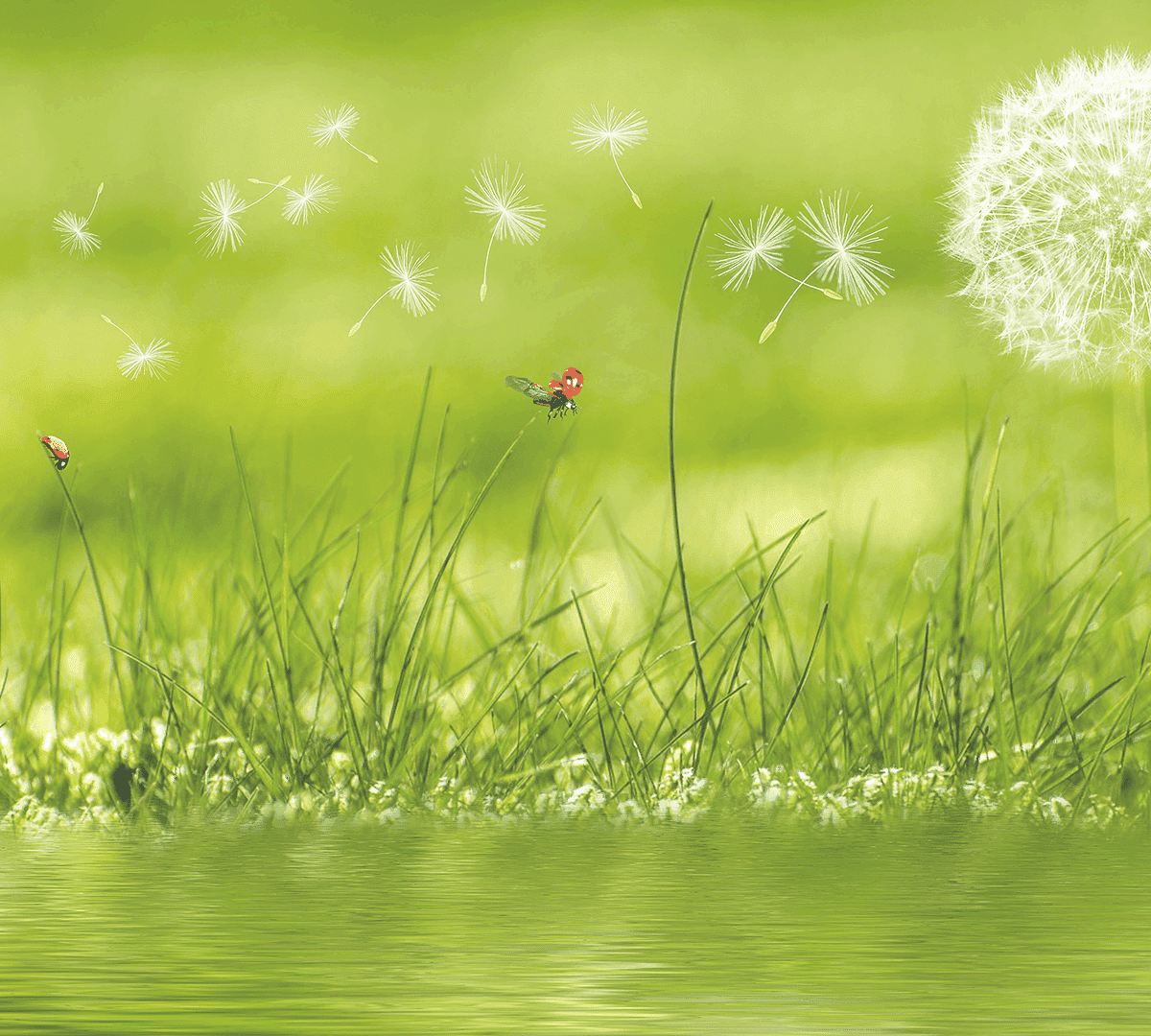 Can you contribute to a positive culture